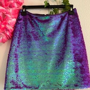Sequin Skirt in Purple and Green